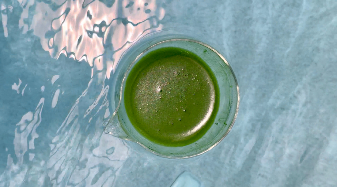 Matcha Harvests Explained: Differences Between 1st, 2nd, and 3rd Flush - Maison Koko