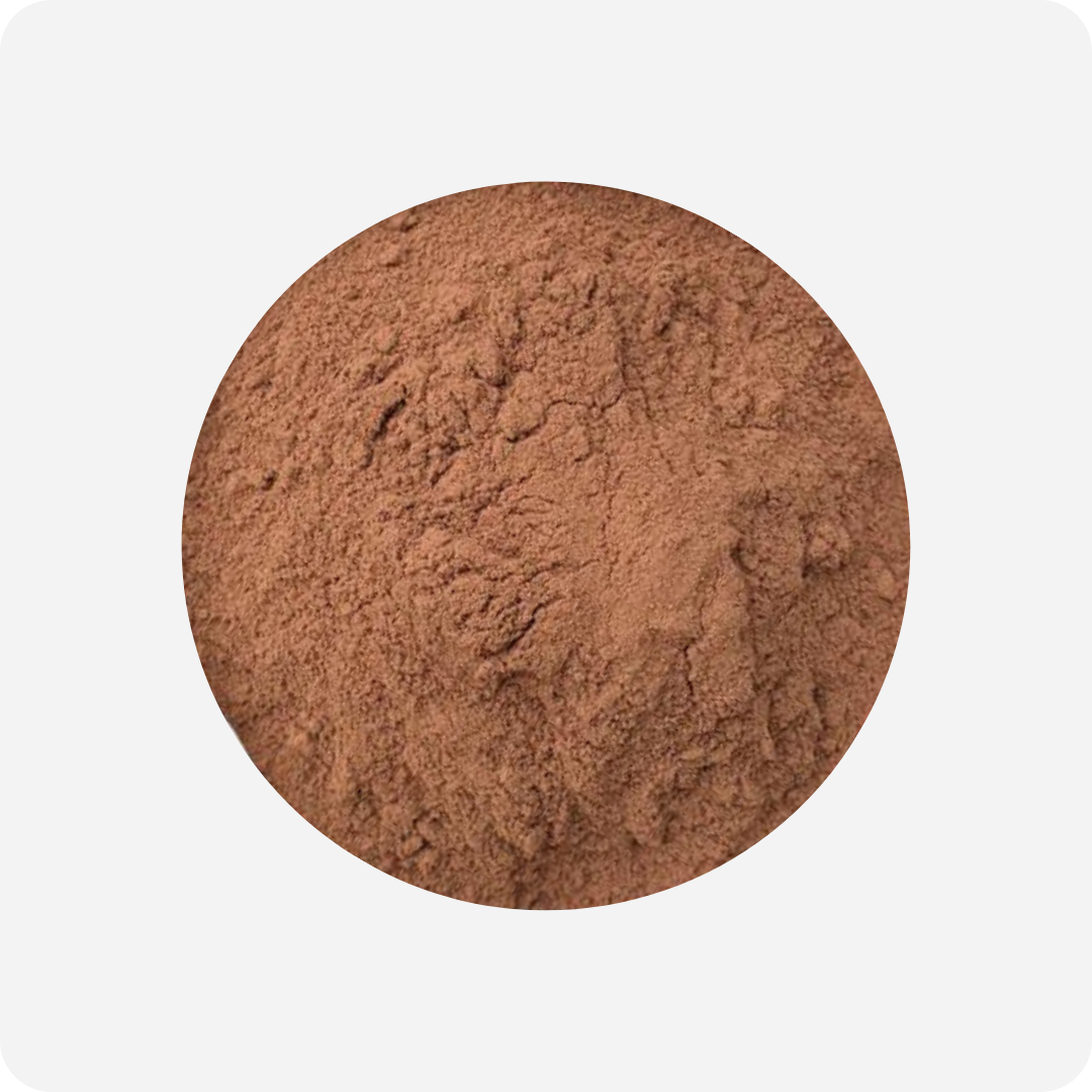 Cacao Powder (Premium Grade) | Maison Koko