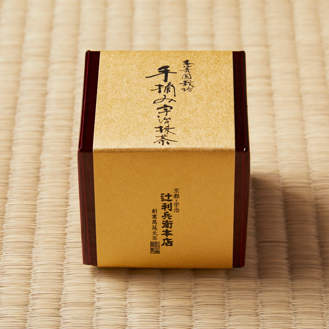 Uji Competition Grade Matcha (Tenkei) Angle | Maison Koko