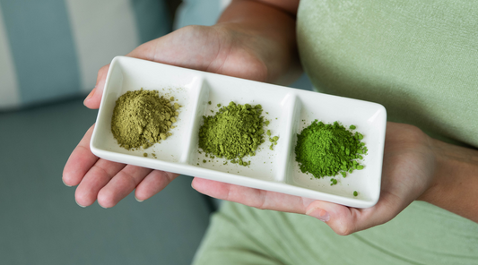 The Ultimate Guide to Understanding Matcha Grades - Maison Koko Blog