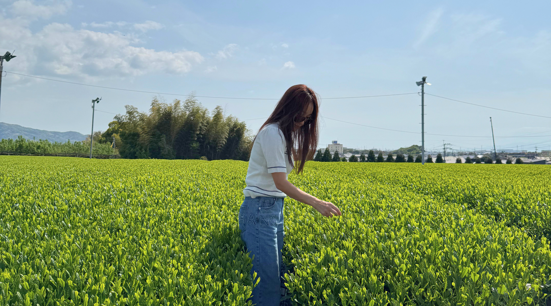 Maison Koko Featured in The New York Times: Inside the Global Matcha Shortage | Maison Koko