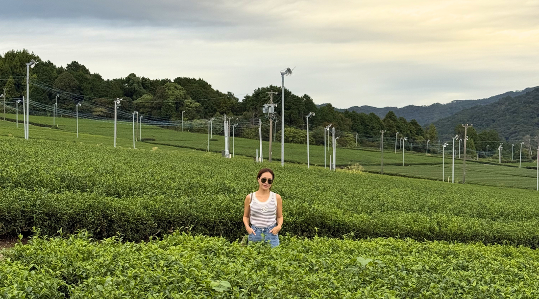 The 2026 Matcha Shortage Explained: Why It's Happening and How to Buy Real Matcha | Maison Koko