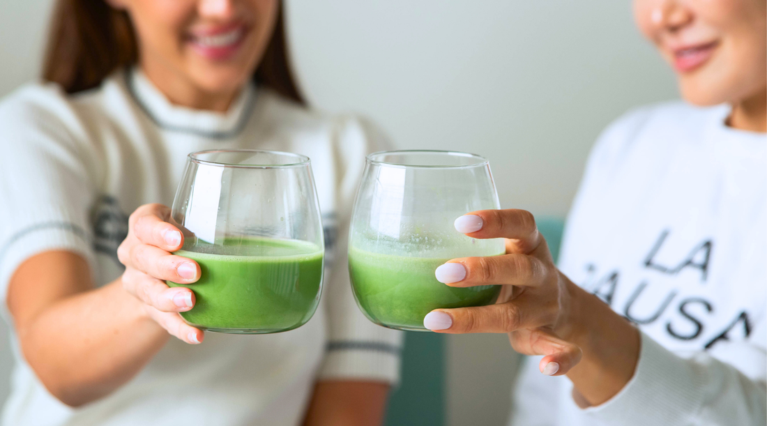 Saemidori vs Okumidori: Premium Japanese Matcha Cultivars Compared | Maison Koko