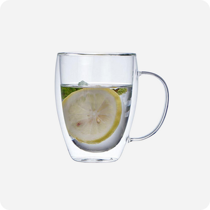 Sleek Double Wall Glass Cup with Handle (450ml)