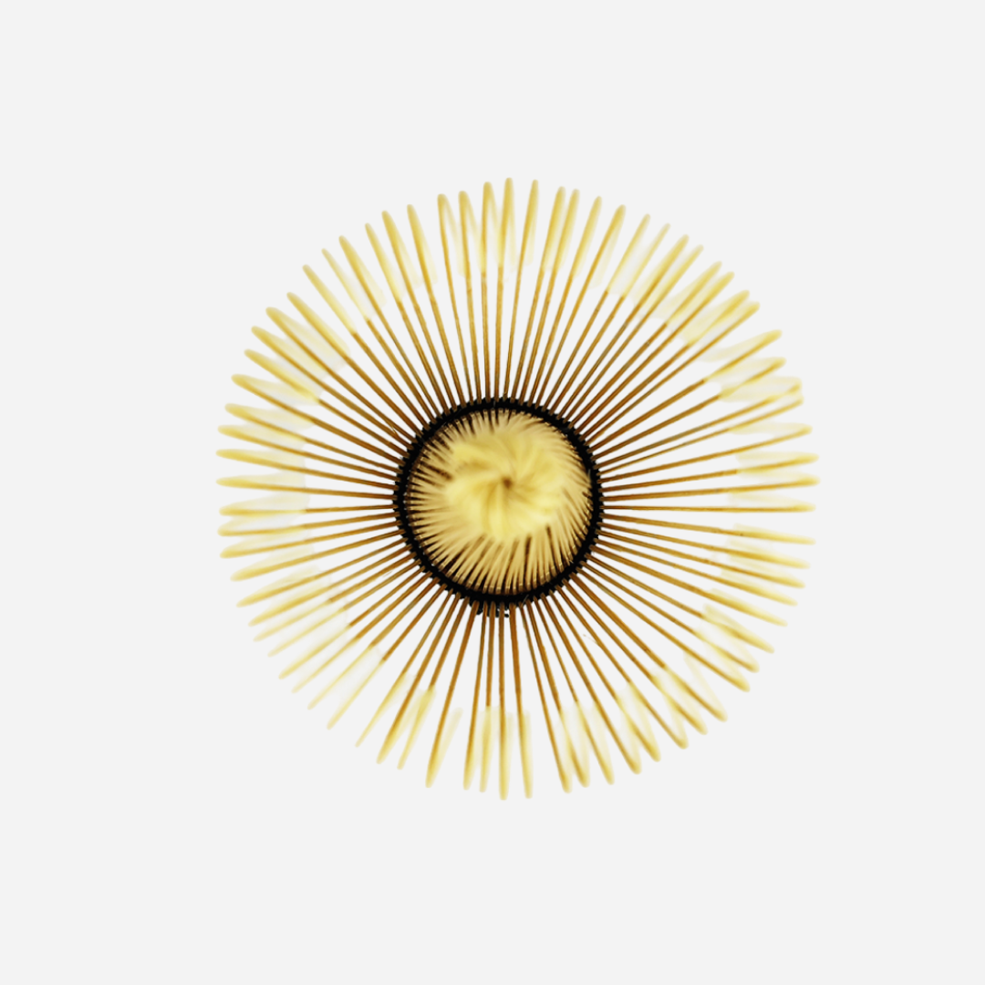 Bamboo Matcha Whisk (Koko Edition) Product | Maison Koko