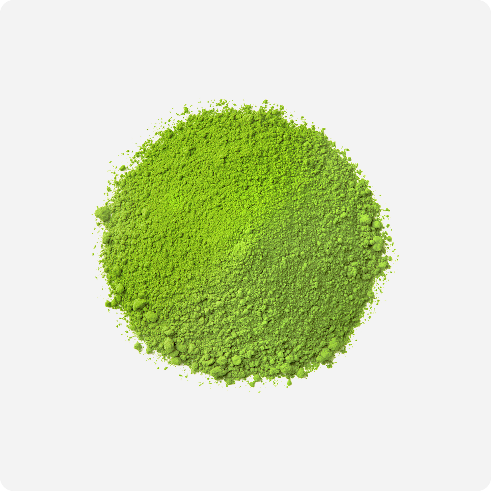 Premium Ceremonial Matcha Powder (Tsuyuhikari Cultivar) Powder Colour | Maison Koko