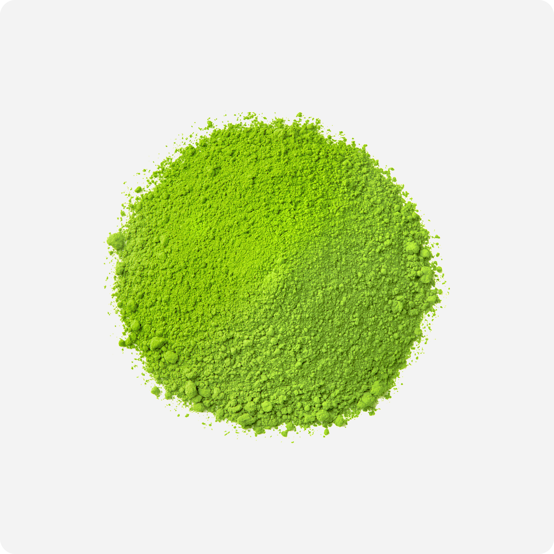 Premium Ceremonial Matcha (Samidori Cultivar) Powder Colour | Maison Koko
