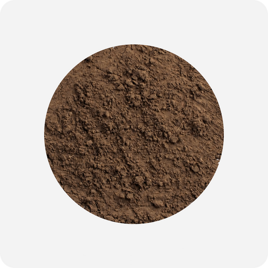 Premium Hojicha Powder (Shizuoka) | Maison Koko