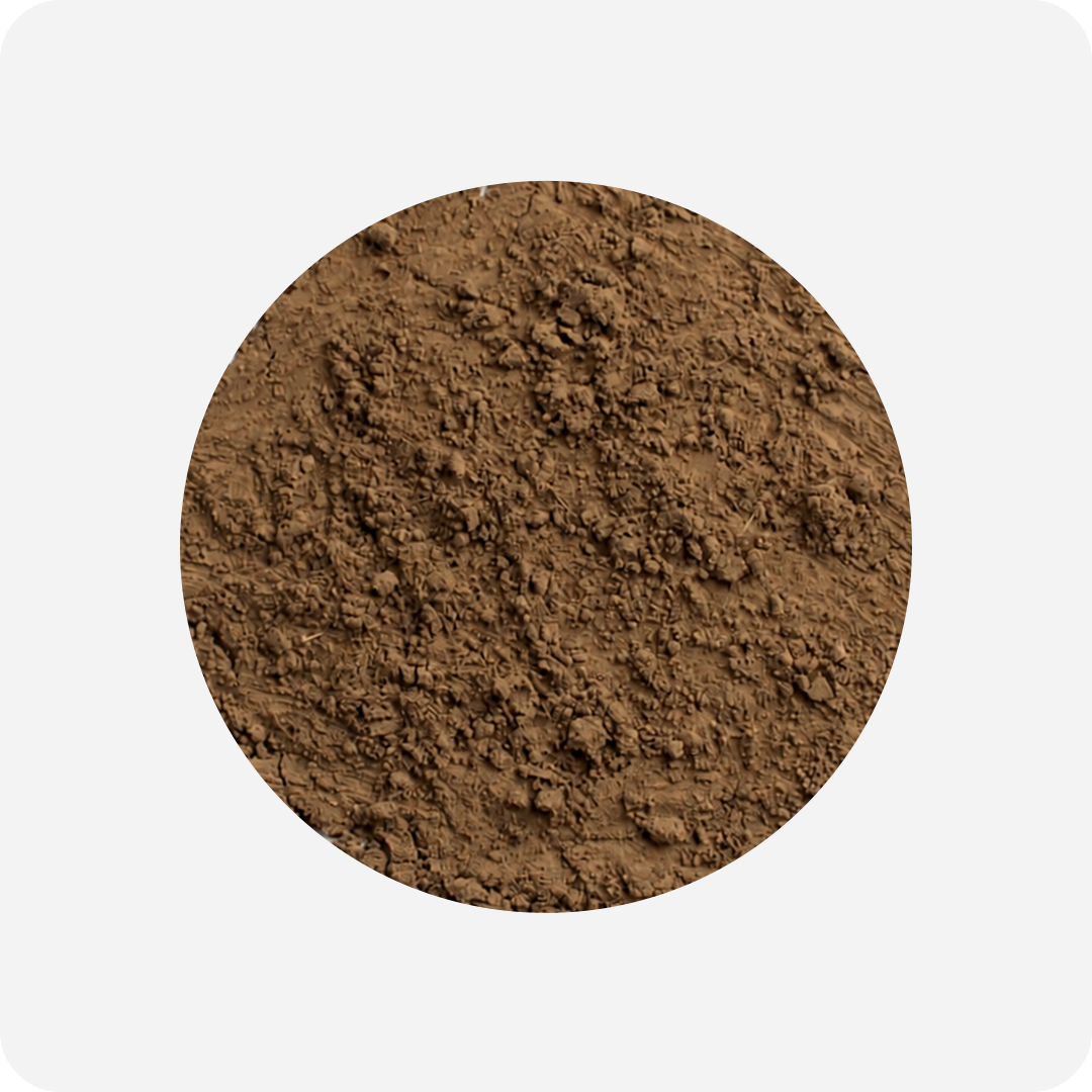 Premium Hojicha Powder (Uji) Powder | Maison Koko