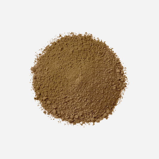 Premium Hojicha Powder (Yame) Colour | Maison Koko