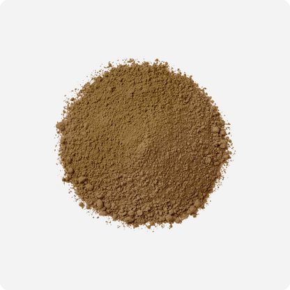 Premium Hojicha Powder (Yame) | Maison Koko