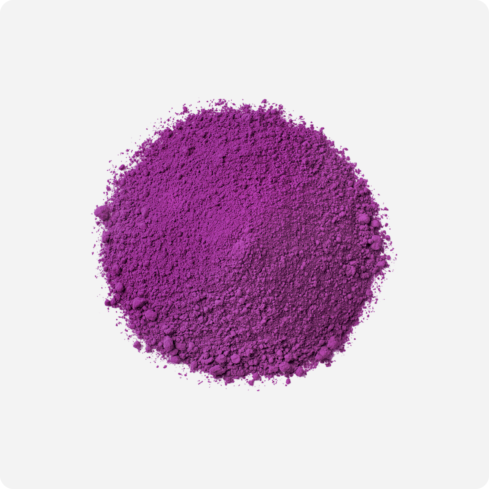 Premium Ube Powder Colour | Maison Koko