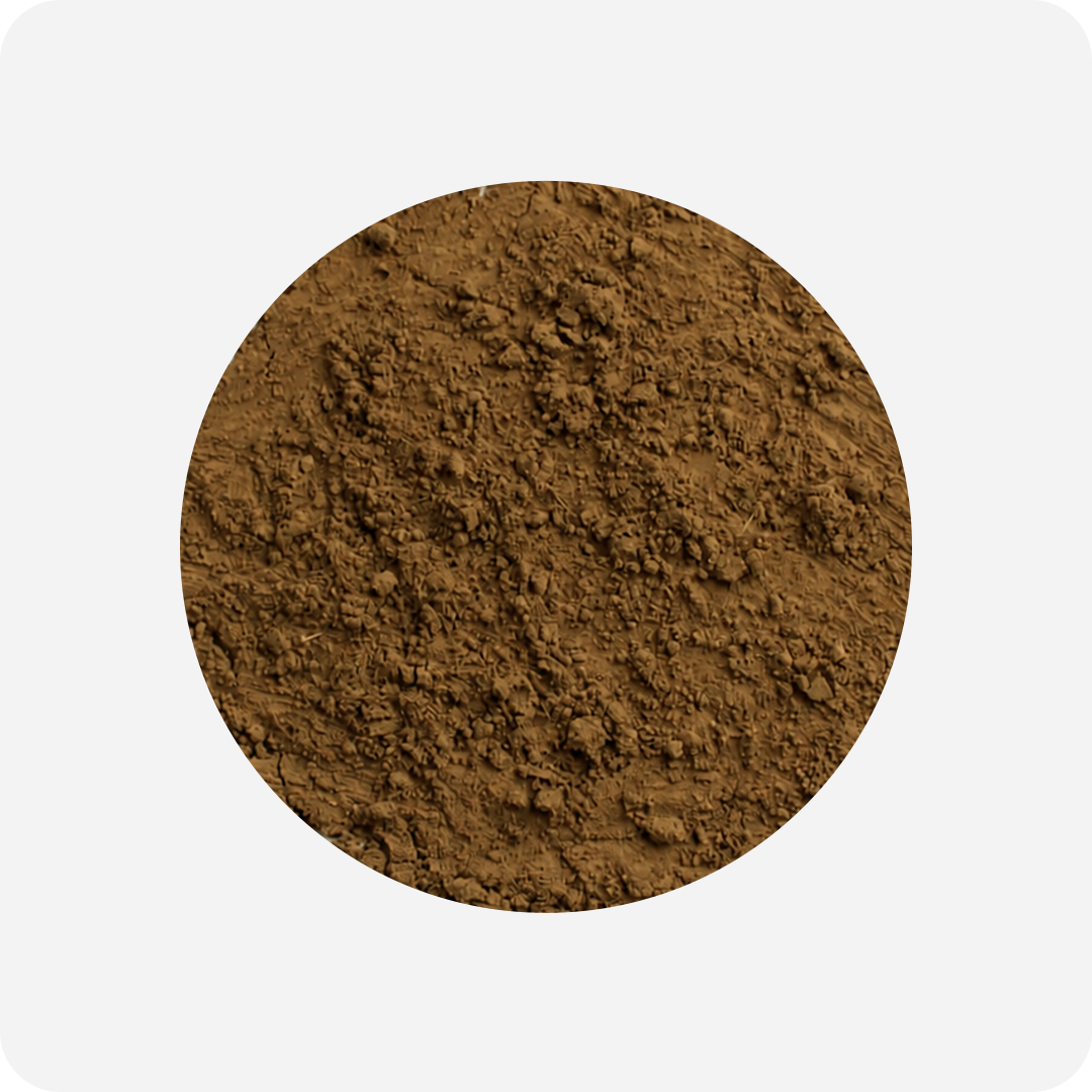 Premium Hojicha Powder (Yame)