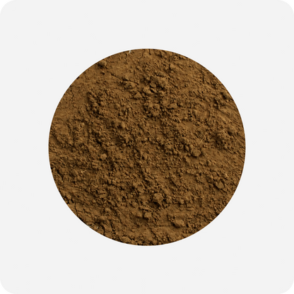 Premium Hojicha Powder (Yame)